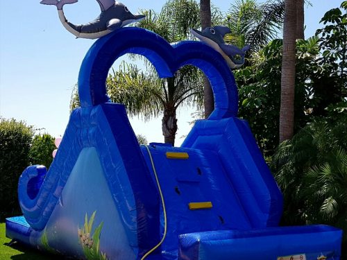 Super Slide with pool shark