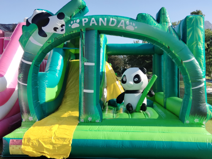 NEW PANDA BEAR WITH SLIDE 5X4M